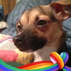 Meet your Posher, Jackie